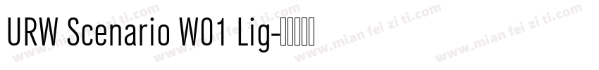 URW Scenario W01 Lig字体转换